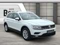 Volkswagen Tiguan 1.5 TSI Comfortline *AHK*LED*APP* Klima Weiß - thumbnail 7
