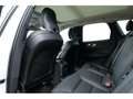 Volvo XC60 T6 Plus Dark Recharge Plug-In Hybrid AWD Weiß - thumbnail 10