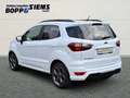 Ford EcoSport 1.0 EcoBoost ST-LINE Weiß - thumbnail 3
