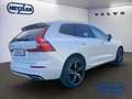 Volvo XC60 R Design 2WD AHK SHZ 360 Kamera Memory Sitze Lenkr Weiß - thumbnail 3
