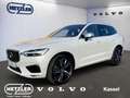 Volvo XC60 R Design 2WD AHK SHZ 360 Kamera Memory Sitze Lenkr Weiß - thumbnail 1