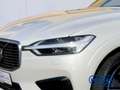 Volvo XC60 R Design 2WD AHK SHZ 360 Kamera Memory Sitze Lenkr White - thumbnail 5