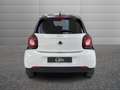 smart forFour 1.0 Prime 71cv my19 Weiß - thumbnail 4