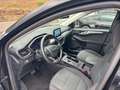 Ford Kuga 2.5 PHEV Cool & Connect #AHK #Ganzjahresreifen Schwarz - thumbnail 10
