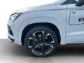 CUPRA Ateca 1.5 TSI DSG VIRTUAL*NAVI*LED*PARKLENK*360°*TEMP... Weiß - thumbnail 18