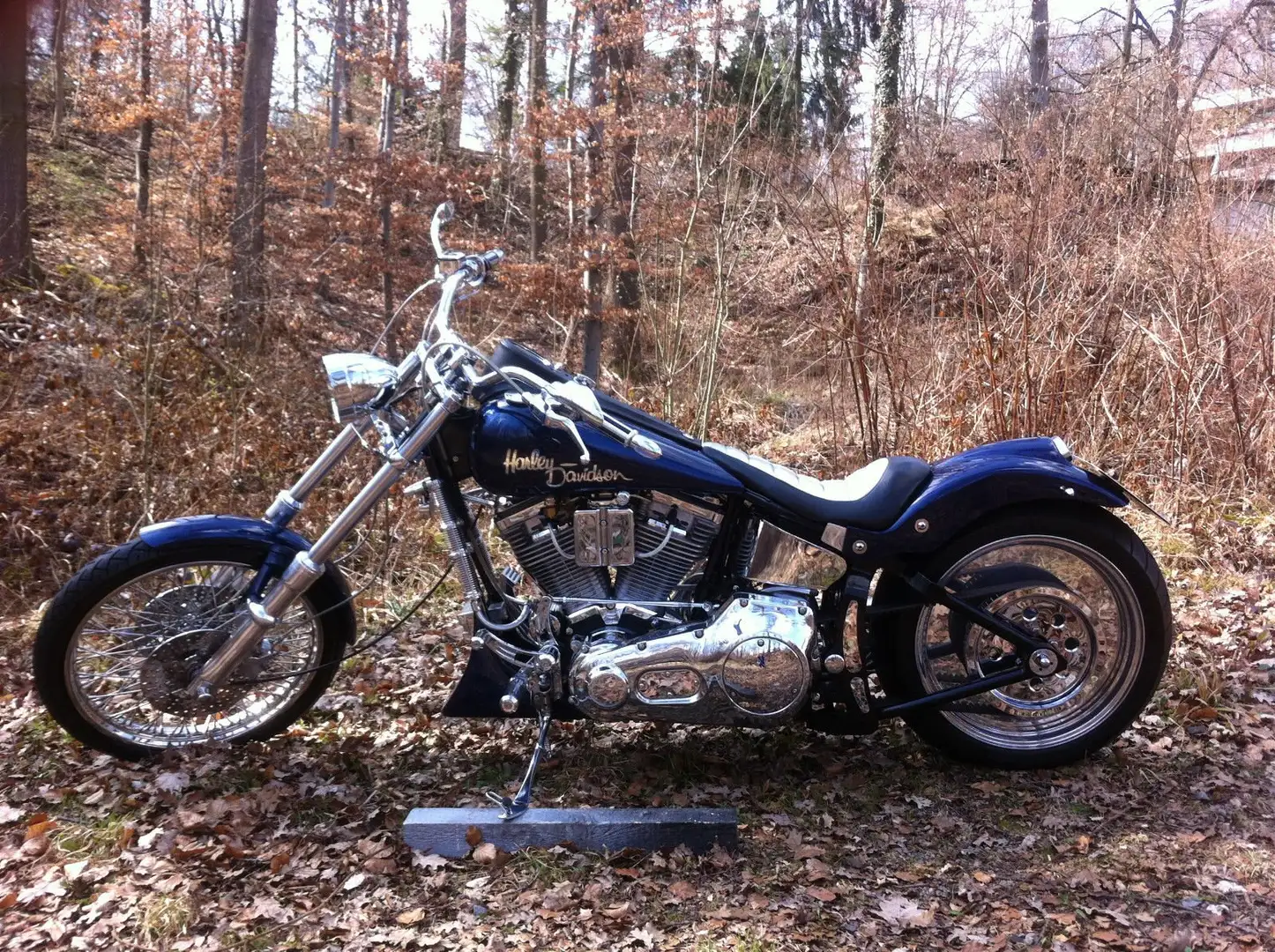 Harley-Davidson Custom Bike HPU Niebieski - 2