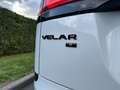 Land Rover Range Rover Velar Velar 2.0 TD4 MHEV D200 S - GARANTIE 12 M Wit - thumbnail 5
