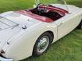 Austin-Healey 100 2 seater, 2600 cc 1957 incl. winterkap Beige - thumbnail 5