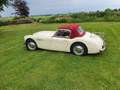 Austin-Healey 100 2 seater, 2600 cc 1957 incl. winterkap Beige - thumbnail 2