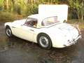 Austin-Healey 100 2 seater, 2600 cc 1957 incl. winterkap Beige - thumbnail 26
