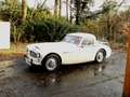 Austin-Healey 100 2 seater, 2600 cc 1957 incl. winterkap Beige - thumbnail 24