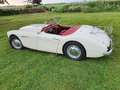 Austin-Healey 100 2 seater, 2600 cc 1957 incl. winterkap Beige - thumbnail 1