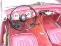 Austin-Healey 100 2 seater, 2600 cc 1957 incl. winterkap Beige - thumbnail 33