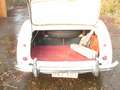 Austin-Healey 100 2 seater, 2600 cc 1957 incl. winterkap Beige - thumbnail 29