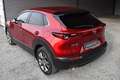Mazda CX-30 e-SKYACTIV X 186 Exclusive-Line Rot - thumbnail 5