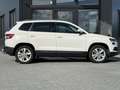 Skoda Karoq 1.0 TSI Amb. Bns Verw. Sportstoelen | Trekhaak | P Wit - thumbnail 3