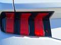 Ford Mustang GT Fastback GT 5,0 l Ti-VCT V8 / 10-Gang-A Weiß - thumbnail 22
