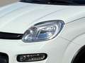 Fiat Panda City Life Klima Allwetterreifen PDC Blanco - thumbnail 9