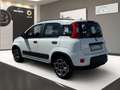 Fiat Panda City Life Klima Allwetterreifen PDC Blanco - thumbnail 5
