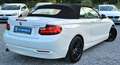 BMW 218 d Cabrio°BI-XENON°NAVI-PROF°KEYLESS°AUTOM. Weiß - thumbnail 4