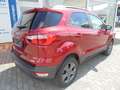 Ford EcoSport COOL & CONNECT Rot - thumbnail 9