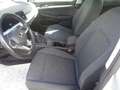 Volkswagen Golf VIII 2.0 TDI Life (EURO 6d) Silber - thumbnail 6