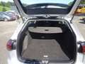 Volkswagen Golf VIII 2.0 TDI Life (EURO 6d) Silber - thumbnail 14