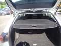 Volkswagen Golf VIII 2.0 TDI Life (EURO 6d) Silber - thumbnail 15