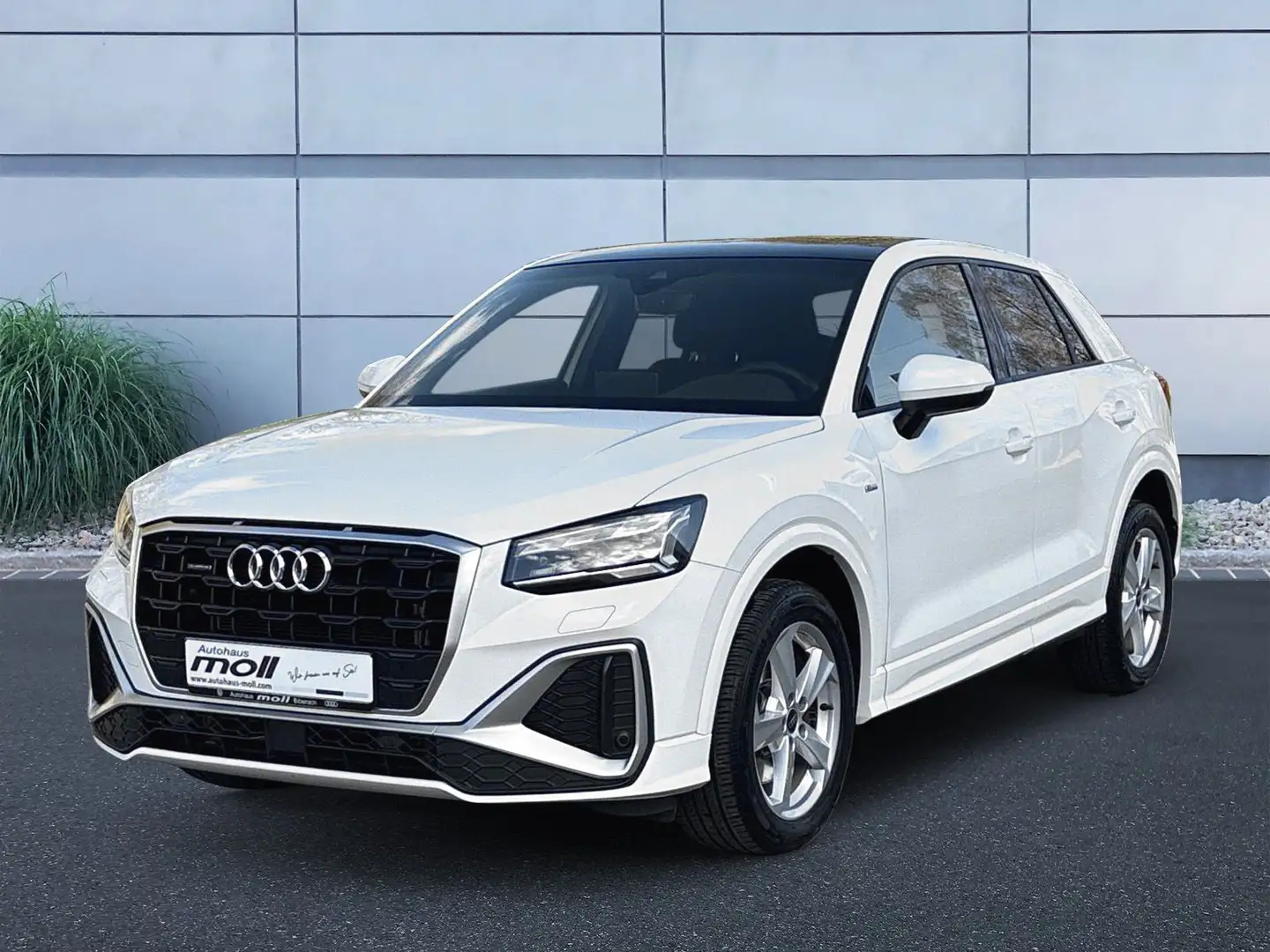 Audi Q2 S-line 35 TDI quattro S-tronic AHK Bianco - 1