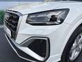 Audi Q2 S-line 35 TDI quattro S-tronic AHK Weiß - thumbnail 6