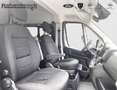 Fiat Ducato Rollstuhlumbau 35 L2H2 Kawa verglast 180 Gris - thumbnail 12