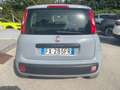 Fiat Panda Panda III 2016 1.2 Easy easypower Gpl 69cv my19 Grigio - thumbnail 2
