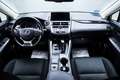 Lexus NX 300 300h Business 2WD Gris - thumbnail 12