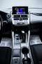 Lexus NX 300 300h Business 2WD Gris - thumbnail 16