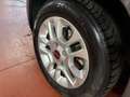 Fiat Panda 1.2 BENZINA Lounge 69cv - TAGLIANDATA! Grau - thumbnail 16