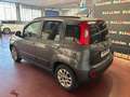 Fiat Panda 1.2 BENZINA Lounge 69cv - TAGLIANDATA! Grijs - thumbnail 2