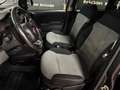 Fiat Panda 1.2 BENZINA Lounge 69cv - TAGLIANDATA! Grau - thumbnail 6