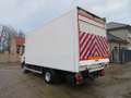 Trucks-Lkw DAF LF180FA - Bak + klep Weiß - thumbnail 5