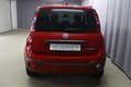 Fiat Panda RED Hybrid 1.0 GSE 51kw (70PS),  Komfort-Paket ... Červená - thumbnail 5