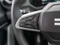 Dacia Duster Extreme ECO-G 100 SHZ PDC LHZ 360° 8-fach bereift Braun - thumbnail 18