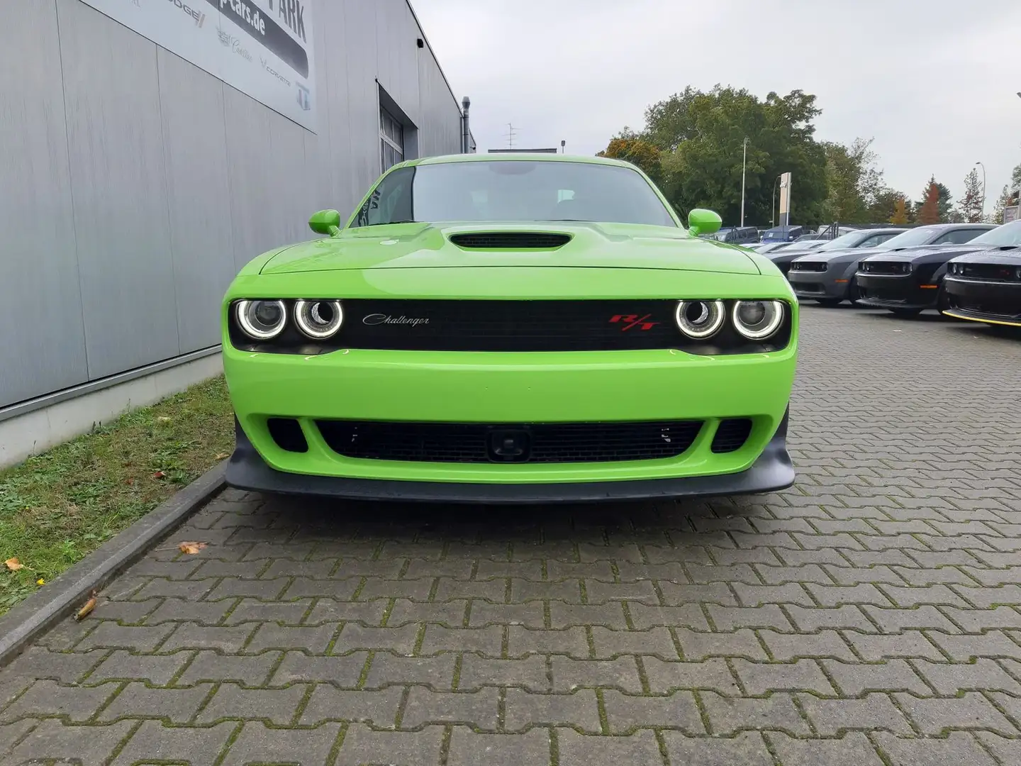 Dodge Challenger R/T ScatPack 6.4V8 Widebody Last Call Grün - 2