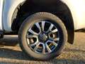 Ford Ranger Wildtrak Doppelkabine 4x4, 3,5 to Anhängelast Wit - thumbnail 6