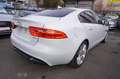 Jaguar XE 25T Portfolio *nur 8.300KM*1.Hand*TOP Ausst. Weiß - thumbnail 8
