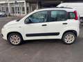Fiat Panda Panda 0.9 t.air t. natural power Easy 80cv Blanc - thumbnail 6