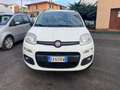 Fiat Panda Panda 0.9 t.air t. natural power Easy 80cv Blanc - thumbnail 3