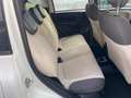 Fiat Panda Panda 0.9 t.air t. natural power Easy 80cv Blanc - thumbnail 9