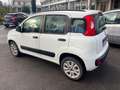 Fiat Panda Panda 0.9 t.air t. natural power Easy 80cv Blanc - thumbnail 5