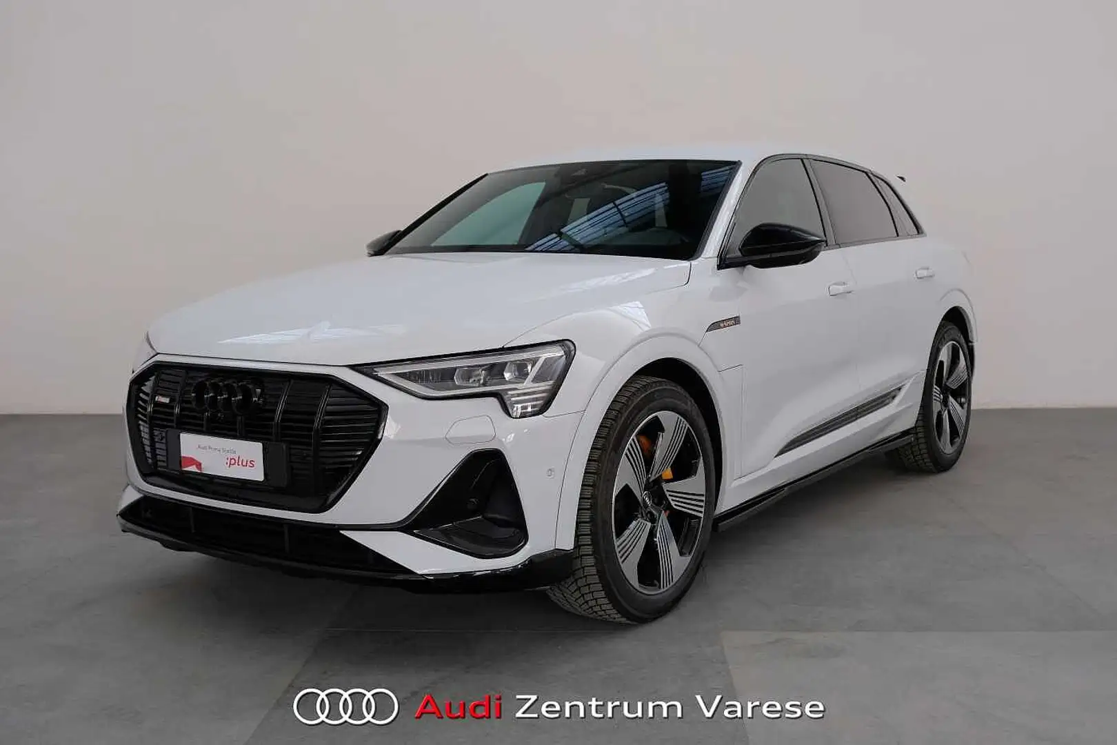 Audi e-tron 50 Quattro 313CV Sline Edition Bianco - 1