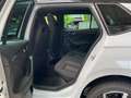 Skoda Kamiq Monte Carlo 1,5 TSI 110 kW 7-Gang-DSG Verf Weiß - thumbnail 13