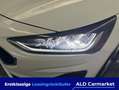 Ford Focus Turnier 1.0 EcoBoost Hybrid Aut. COOL&CONNECT Komb Blanc - thumbnail 5